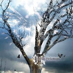 Guardian Heliotrope 2